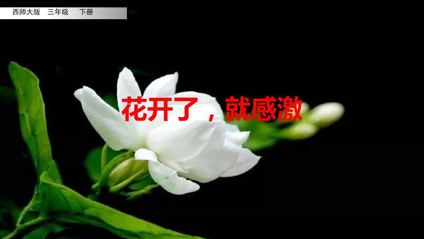 花开了，就感激