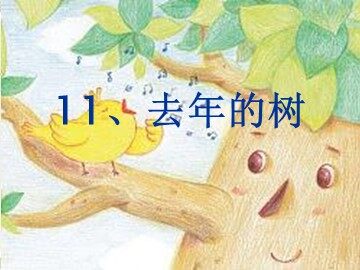 11去年的树