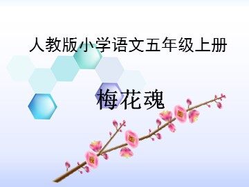 6 梅花魂