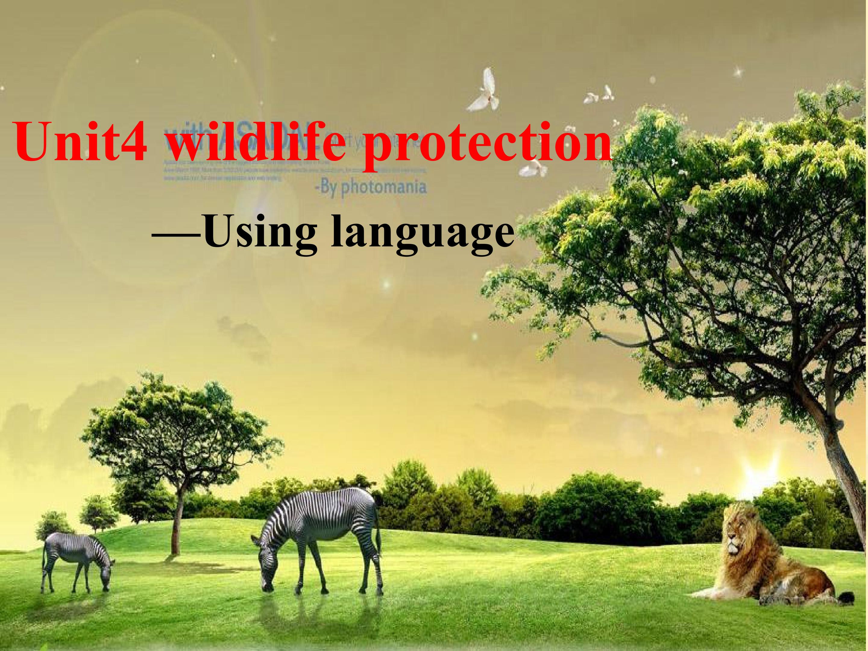 unit4 wildlife protection-using language