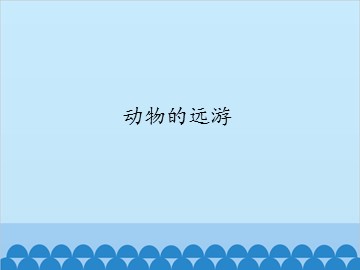 动物的远游_课件1