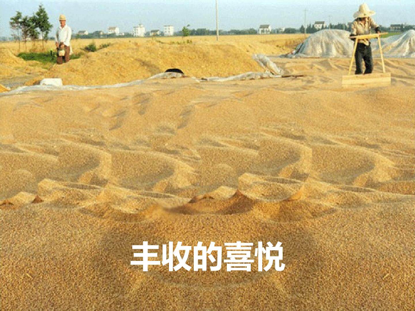 圆锥的体积