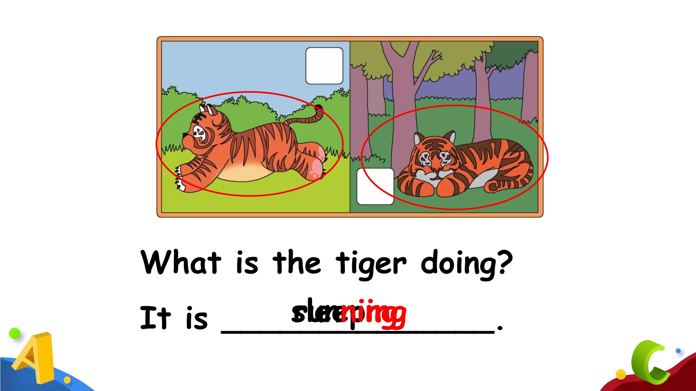 3
