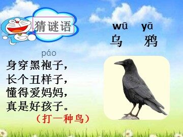 19 乌鸦喝水 