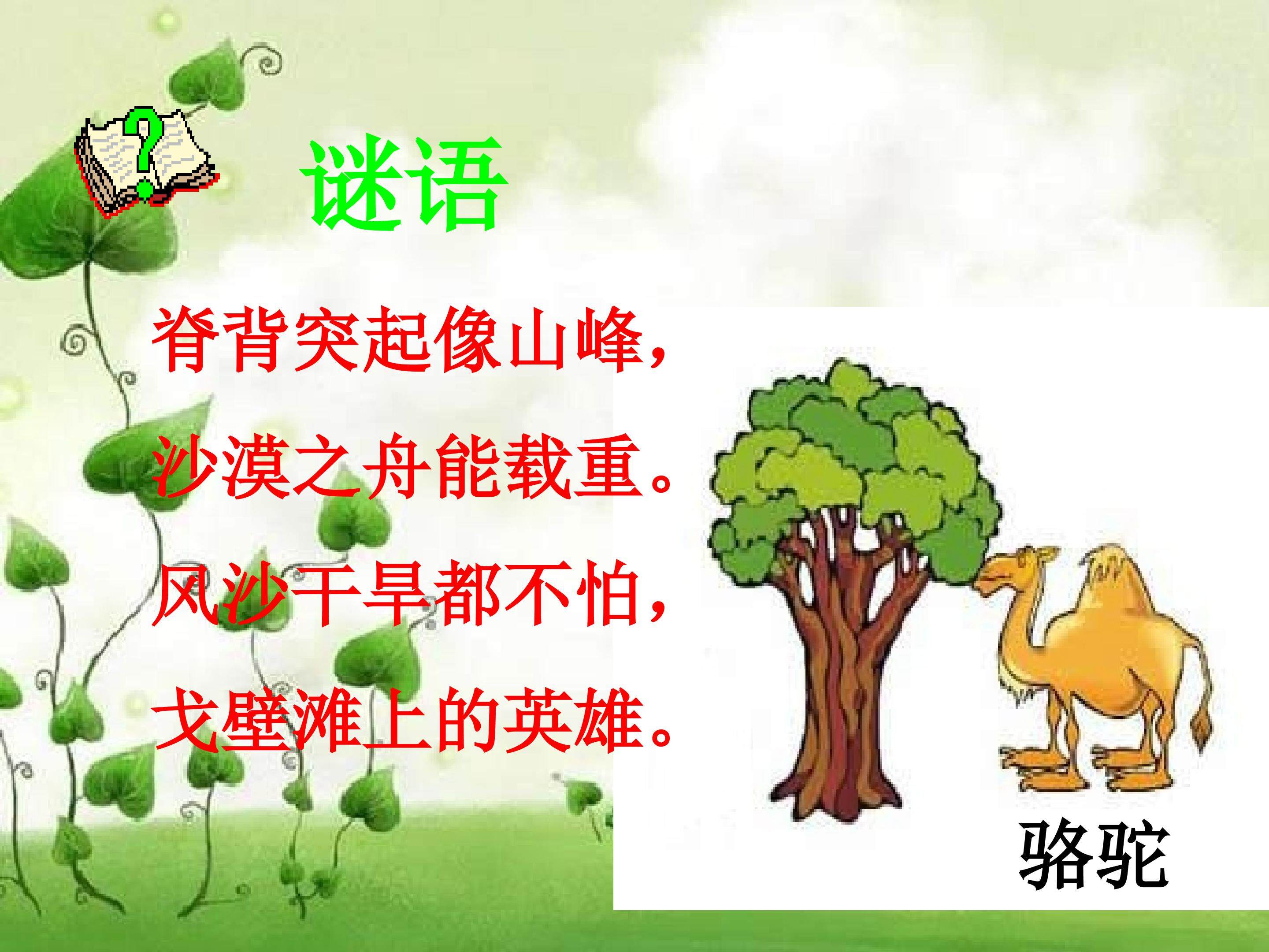 《找骆驼》
