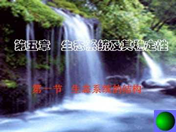 生物高中必修3第五章第五节课件4