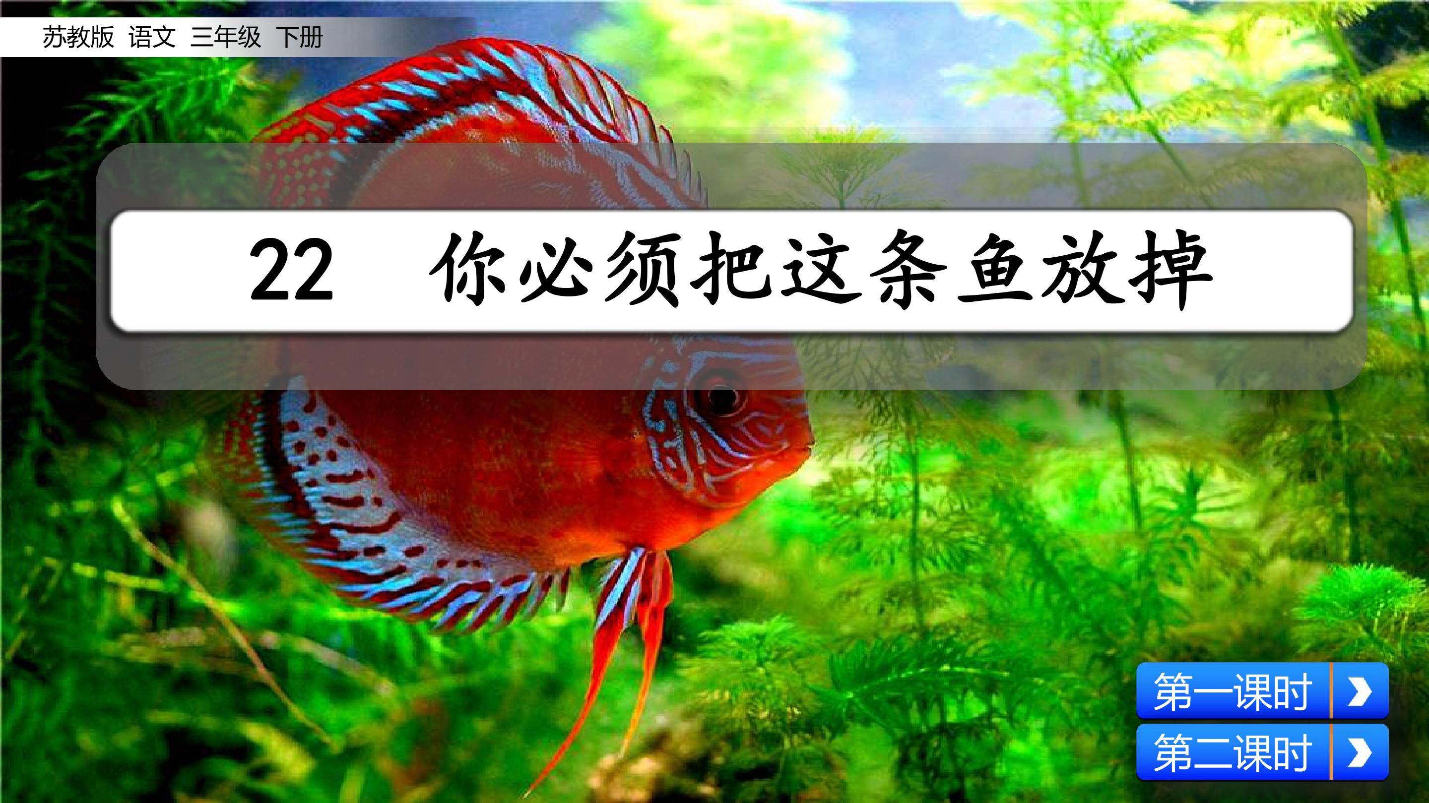 你必须把这条鱼放掉