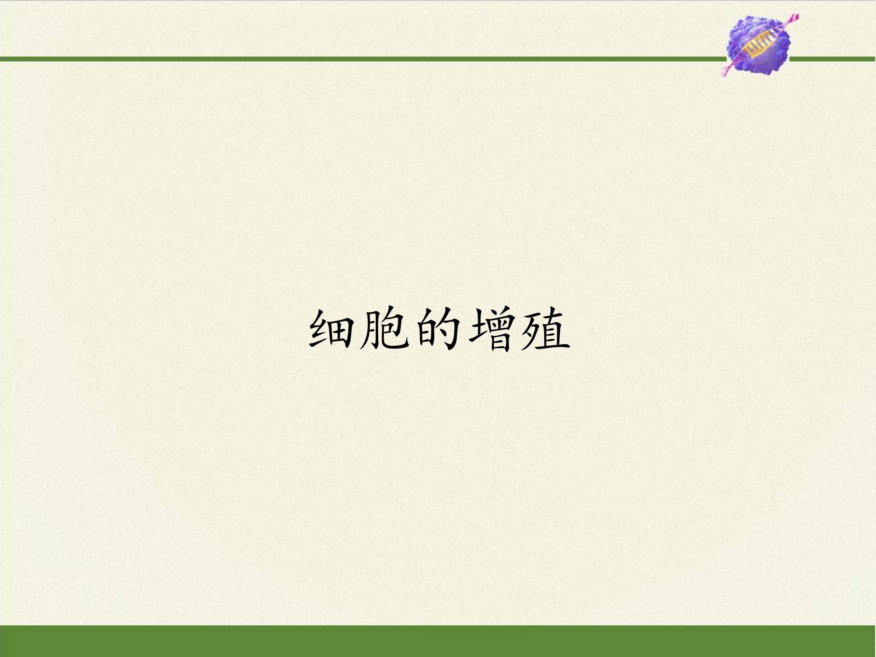 细胞的增殖
