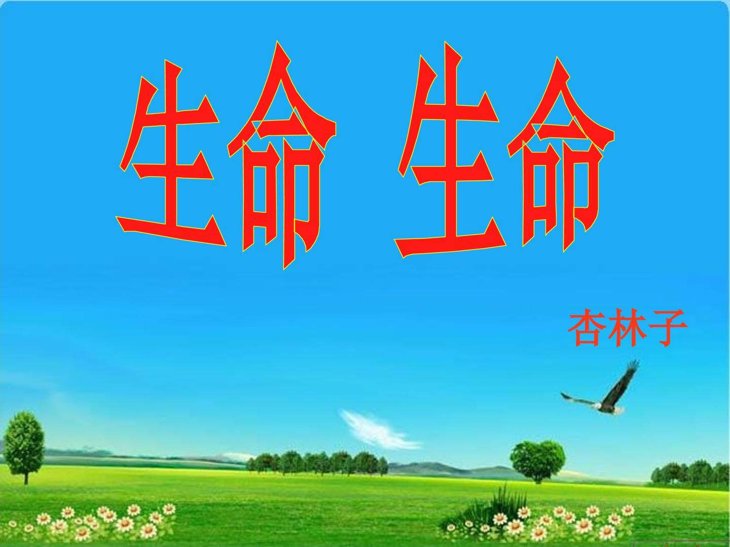 19 生命 生命