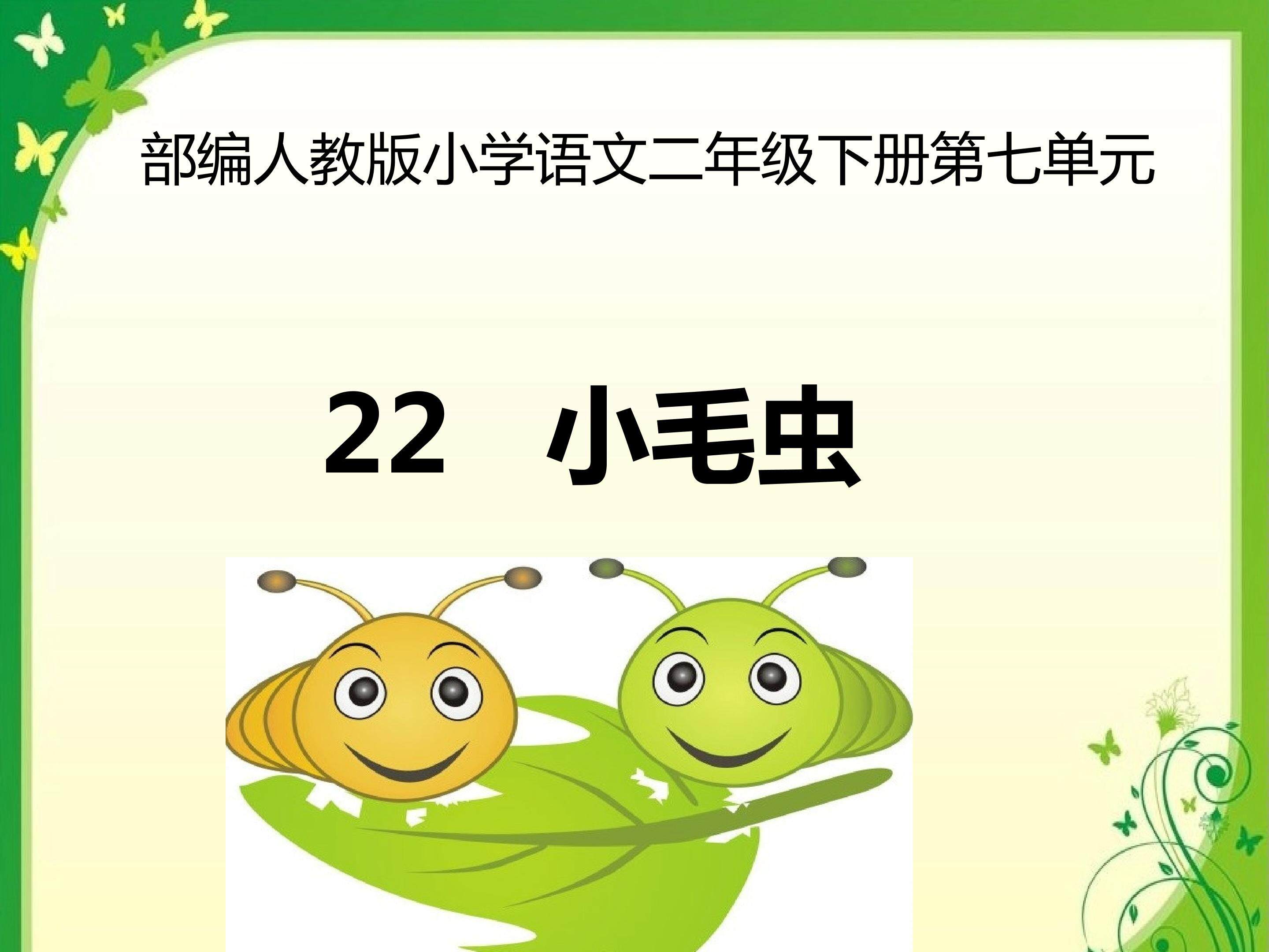 22  小毛虫
