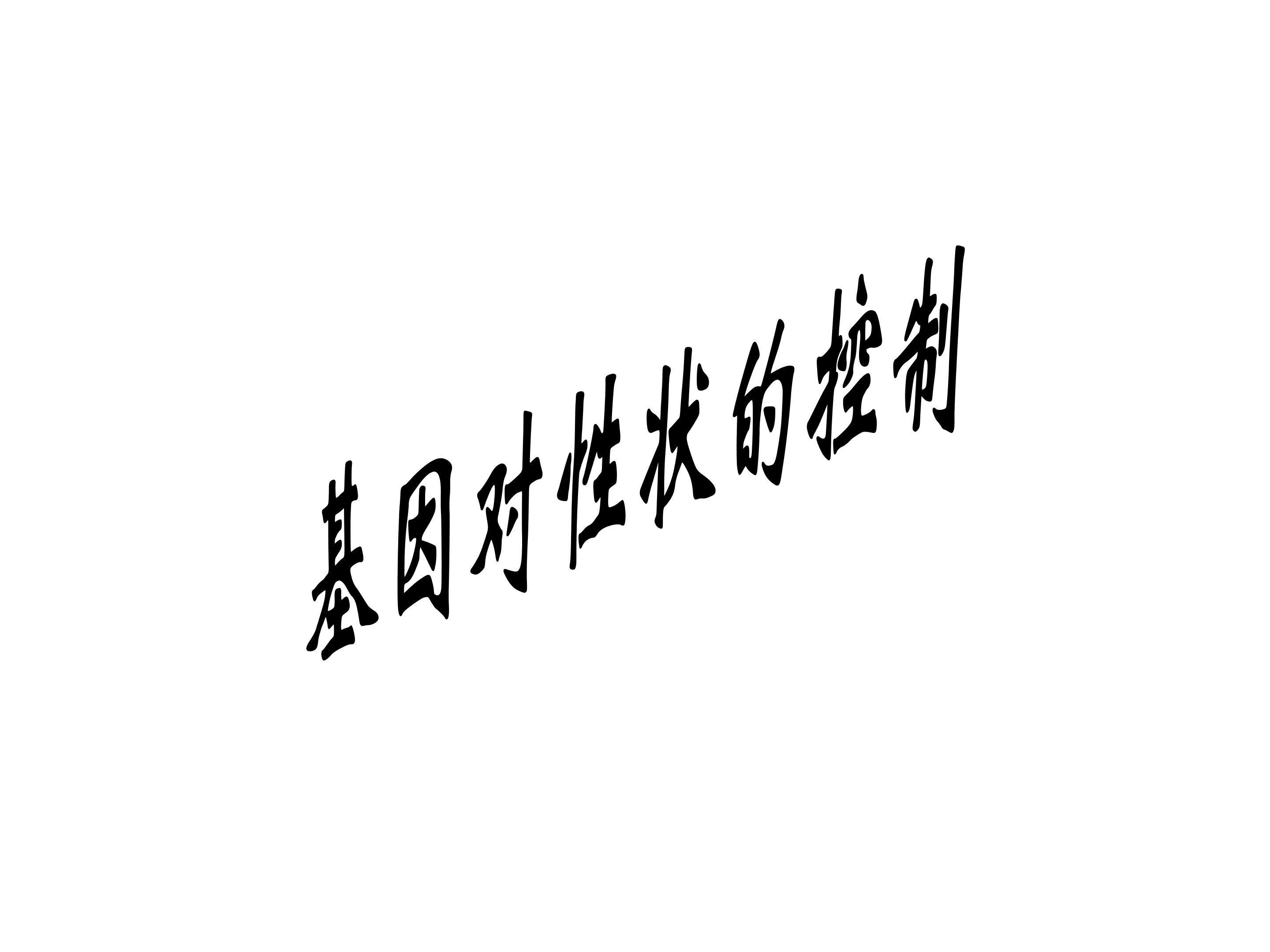 基因对性状的控制_课件1