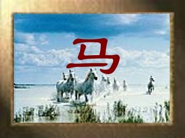 马_课件1