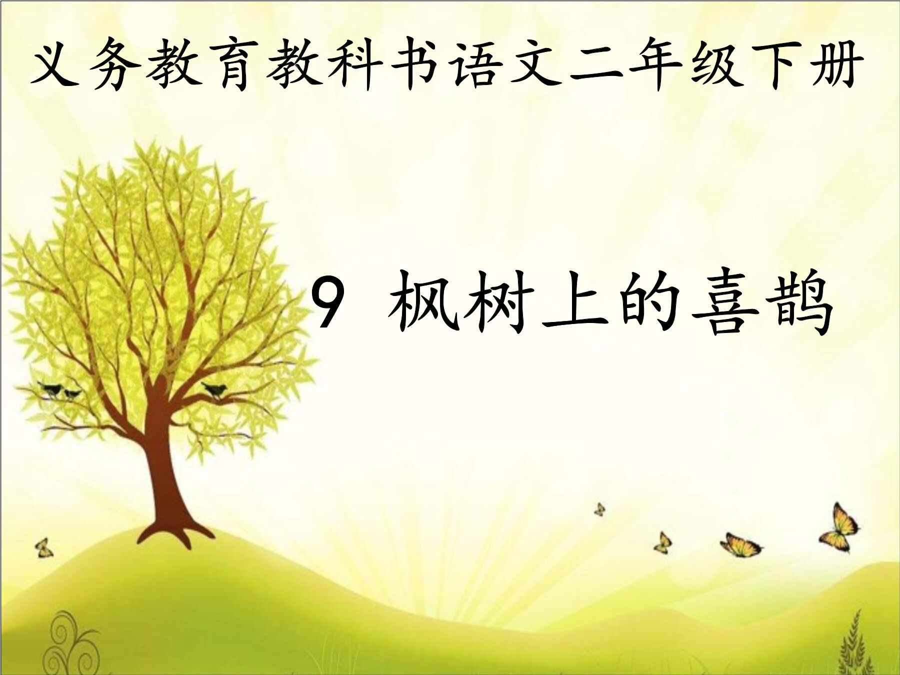 枫树上的喜鹊