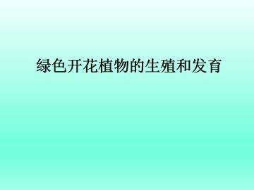 绿色开花植物的生殖和发育_课件2