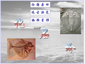 化石吟_课件11