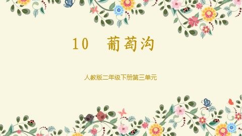 10 葡萄沟 