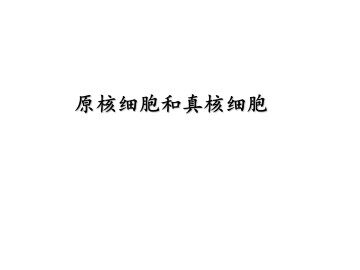 原核细胞和真核细胞_课件1