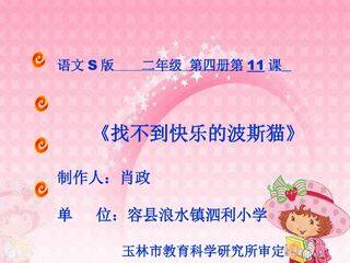 找不到快乐的波斯猫