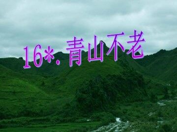 16* 青山不老 