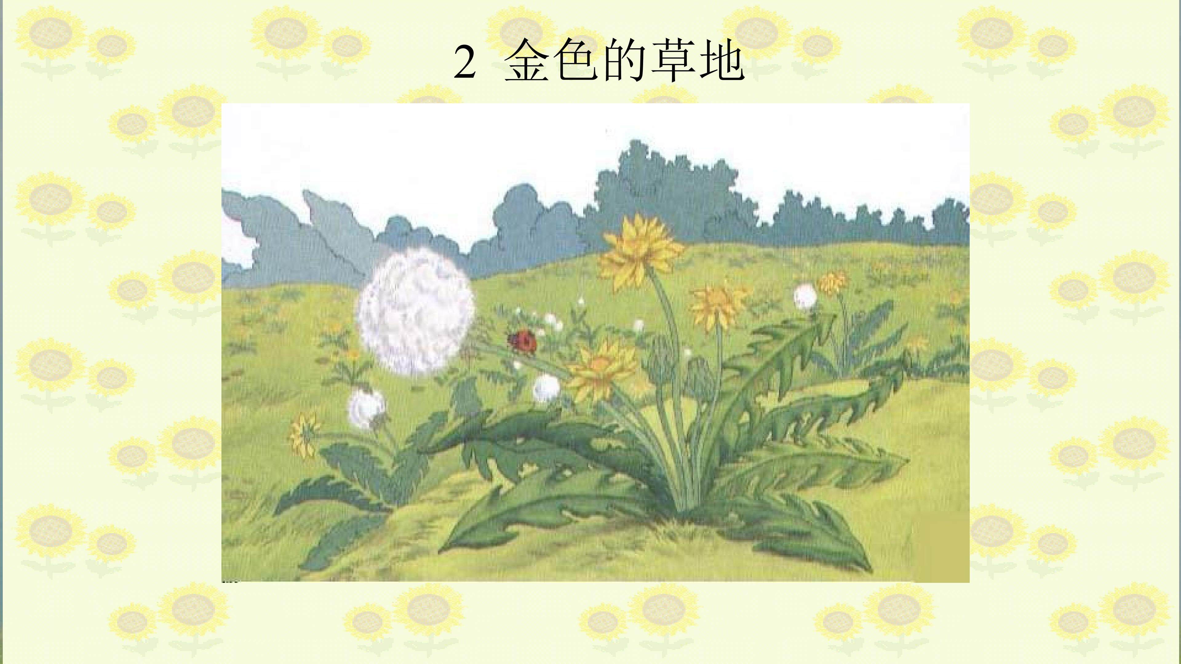 金色的草地