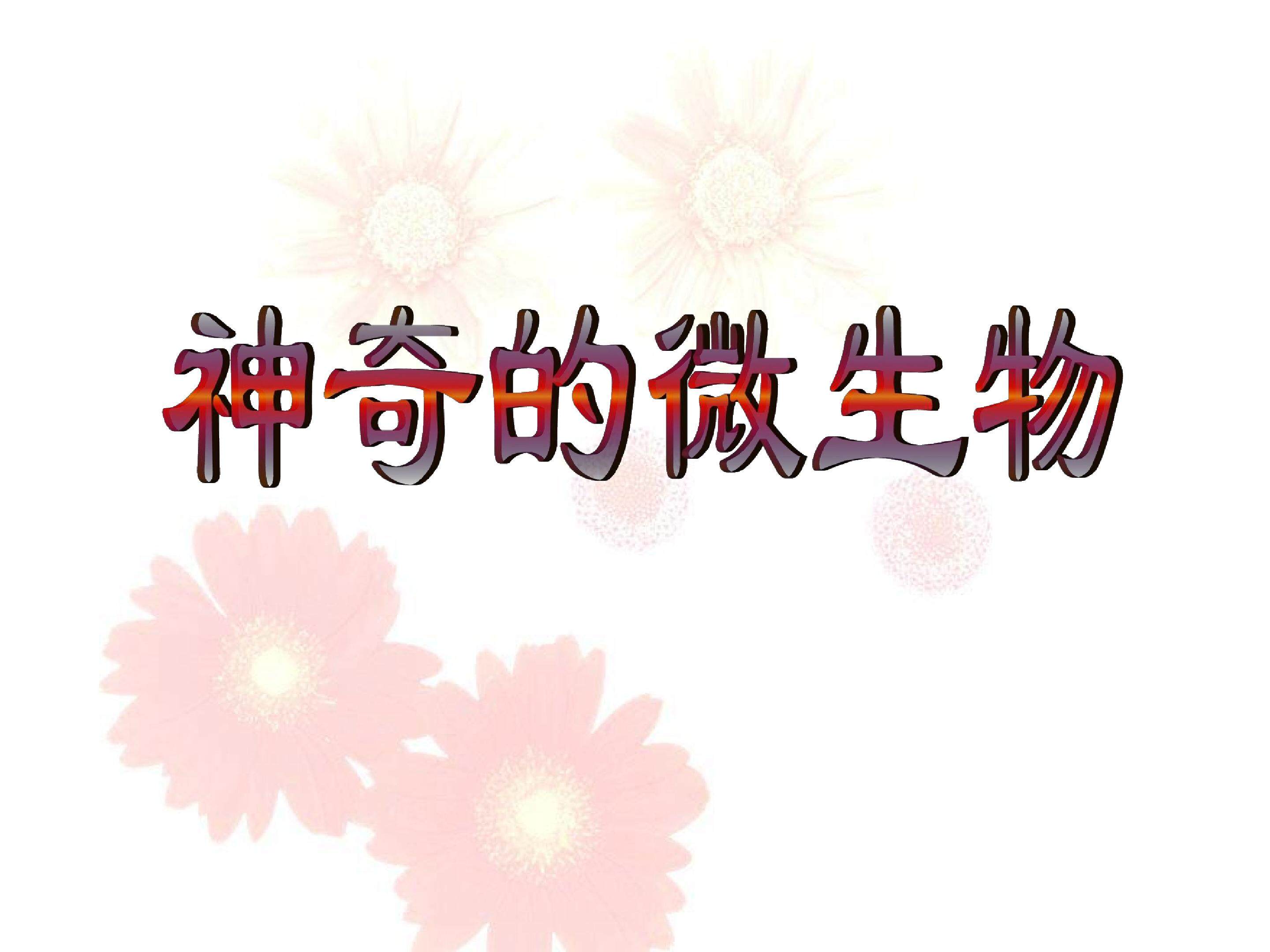 神奇的微生物_课件1