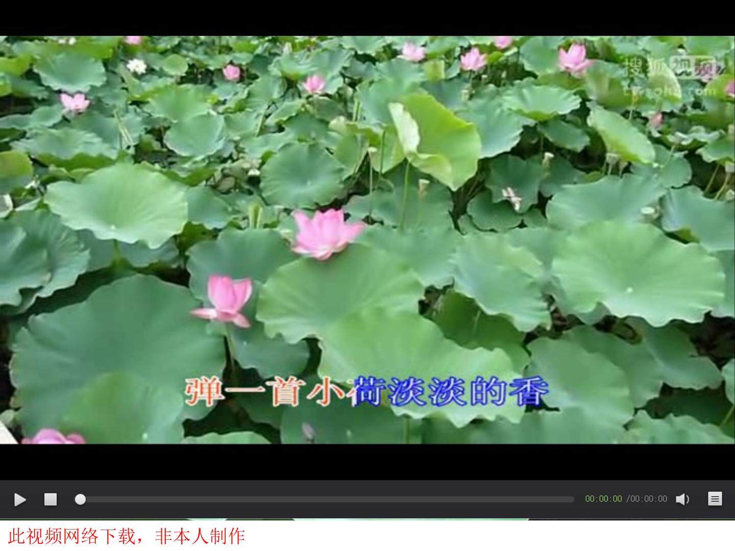 14 荷叶圆圆 