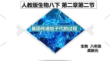 基因经精子和卵细胞传递给子代的过程