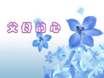 父母的心_课件3