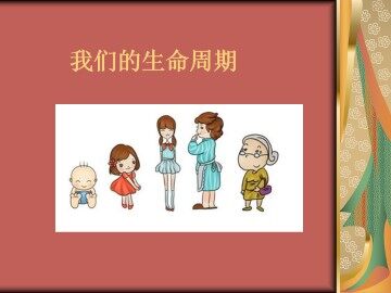 我们的生命周期_课件1