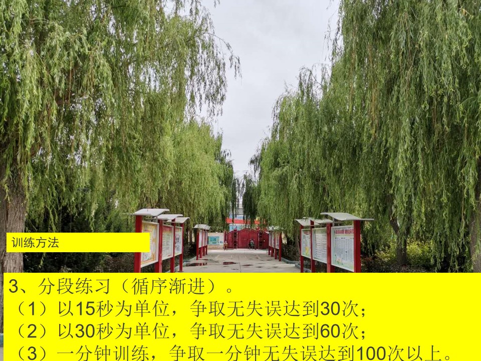 15.jpg