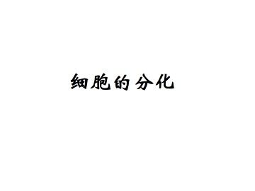 细胞的分化_课件1