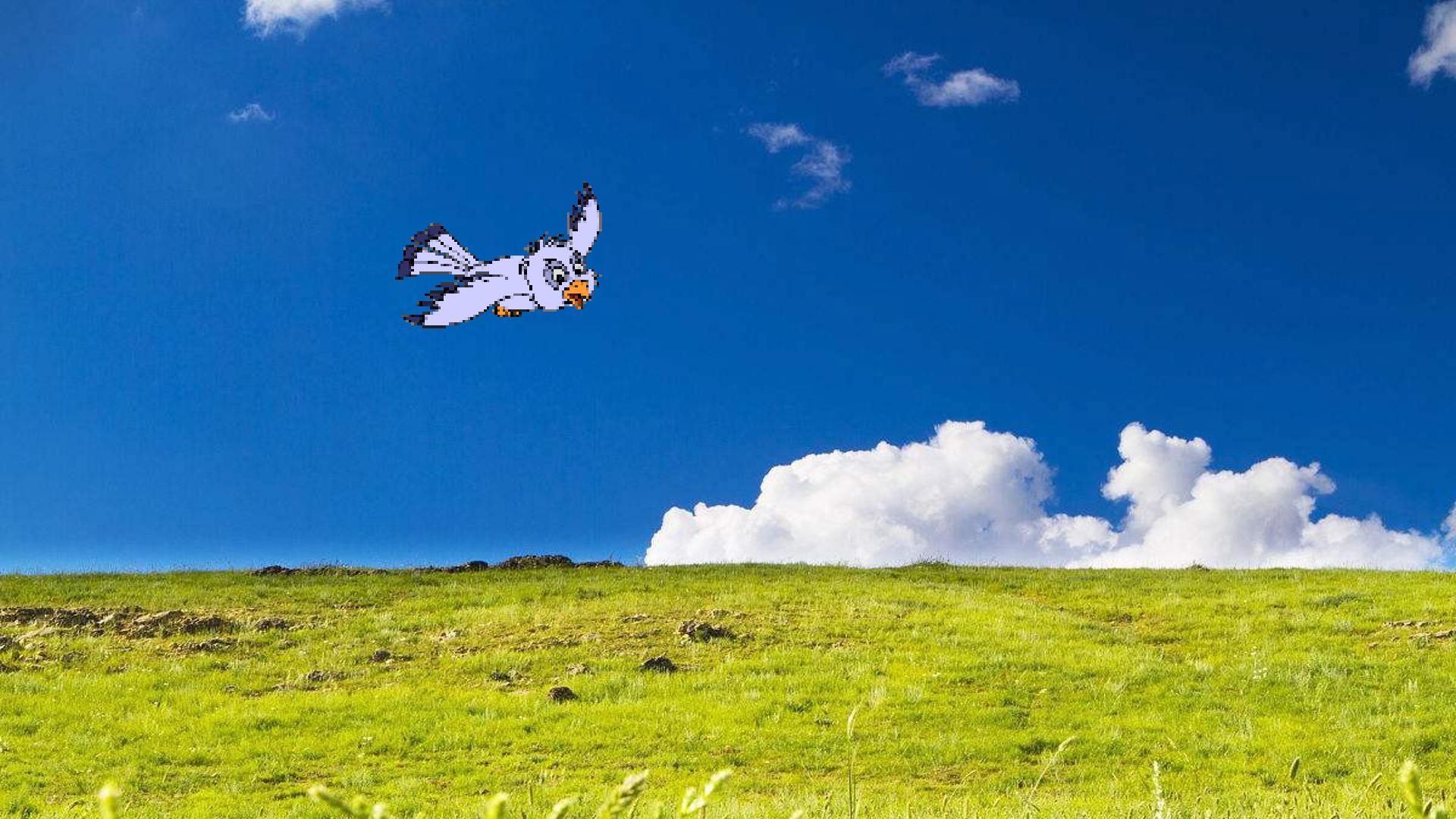 13.jpg