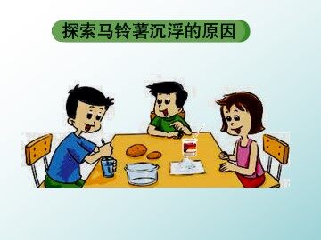 探索马铃薯沉浮的原因_课件1