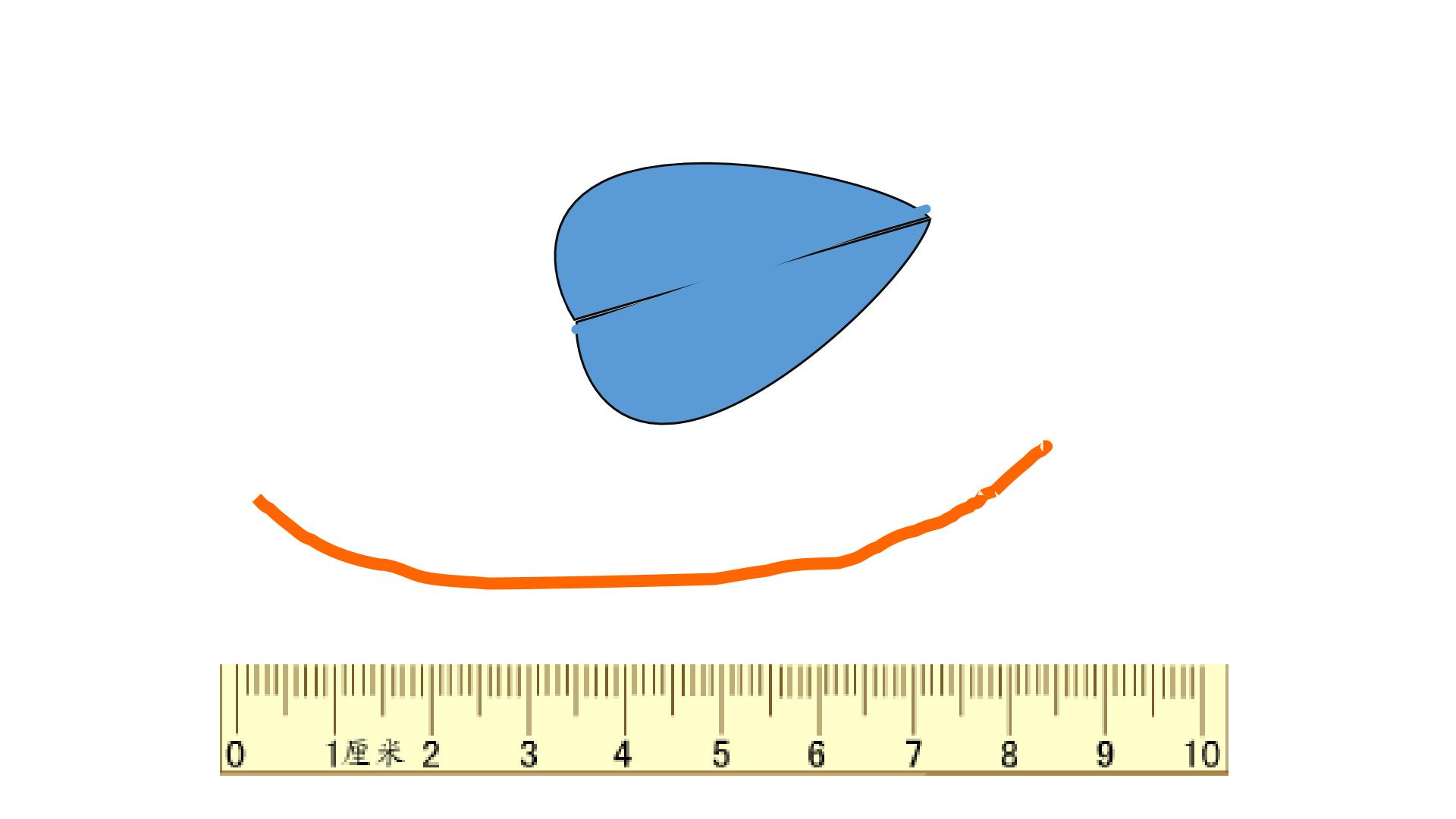 17.jpg