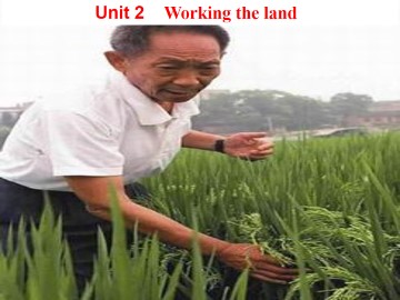 Working the land_课件20