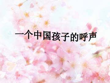 一个中国孩子的呼声_课件2