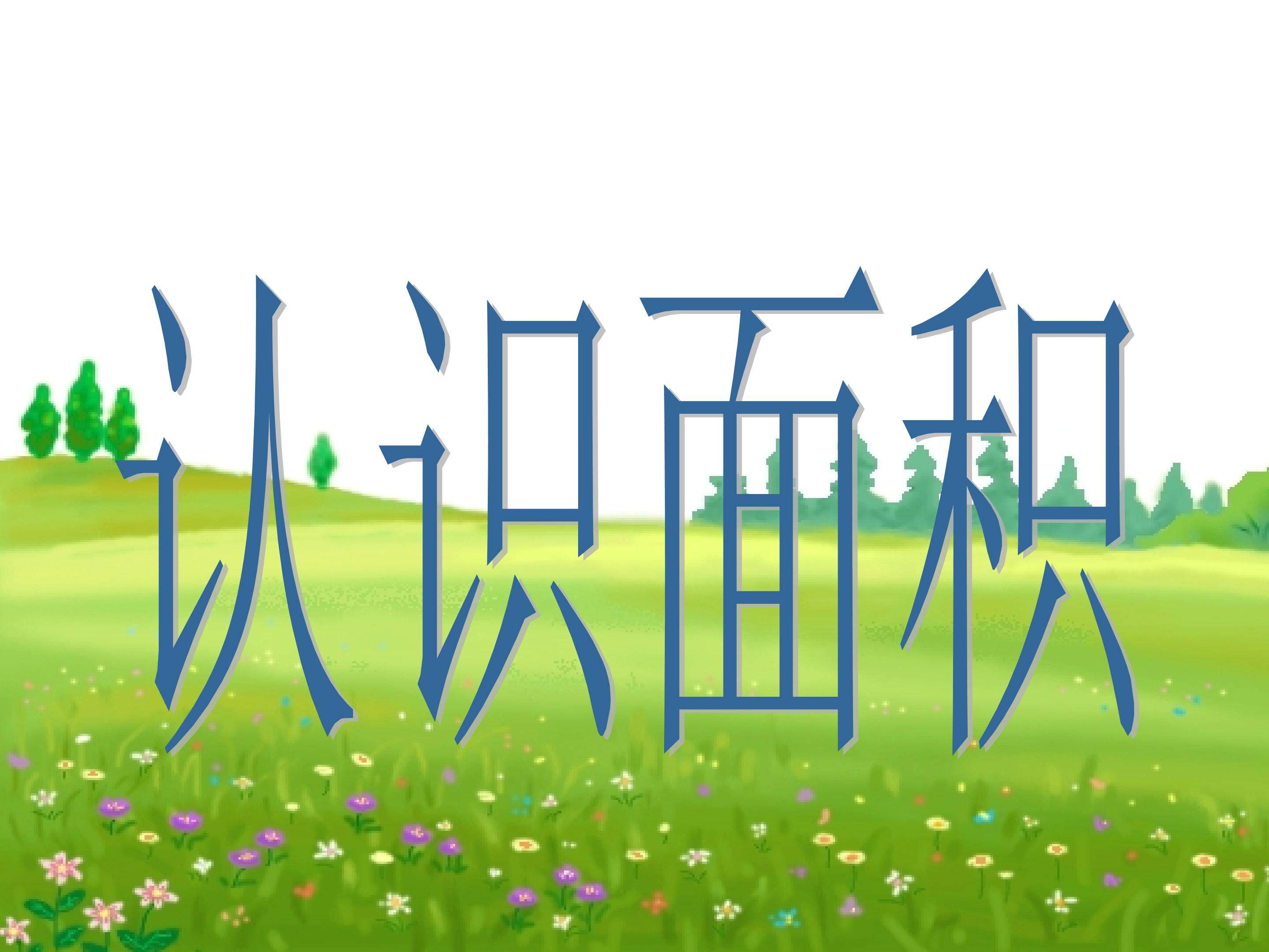 认识面积
