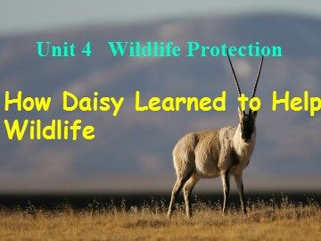 Unit 4 Wildlife protection