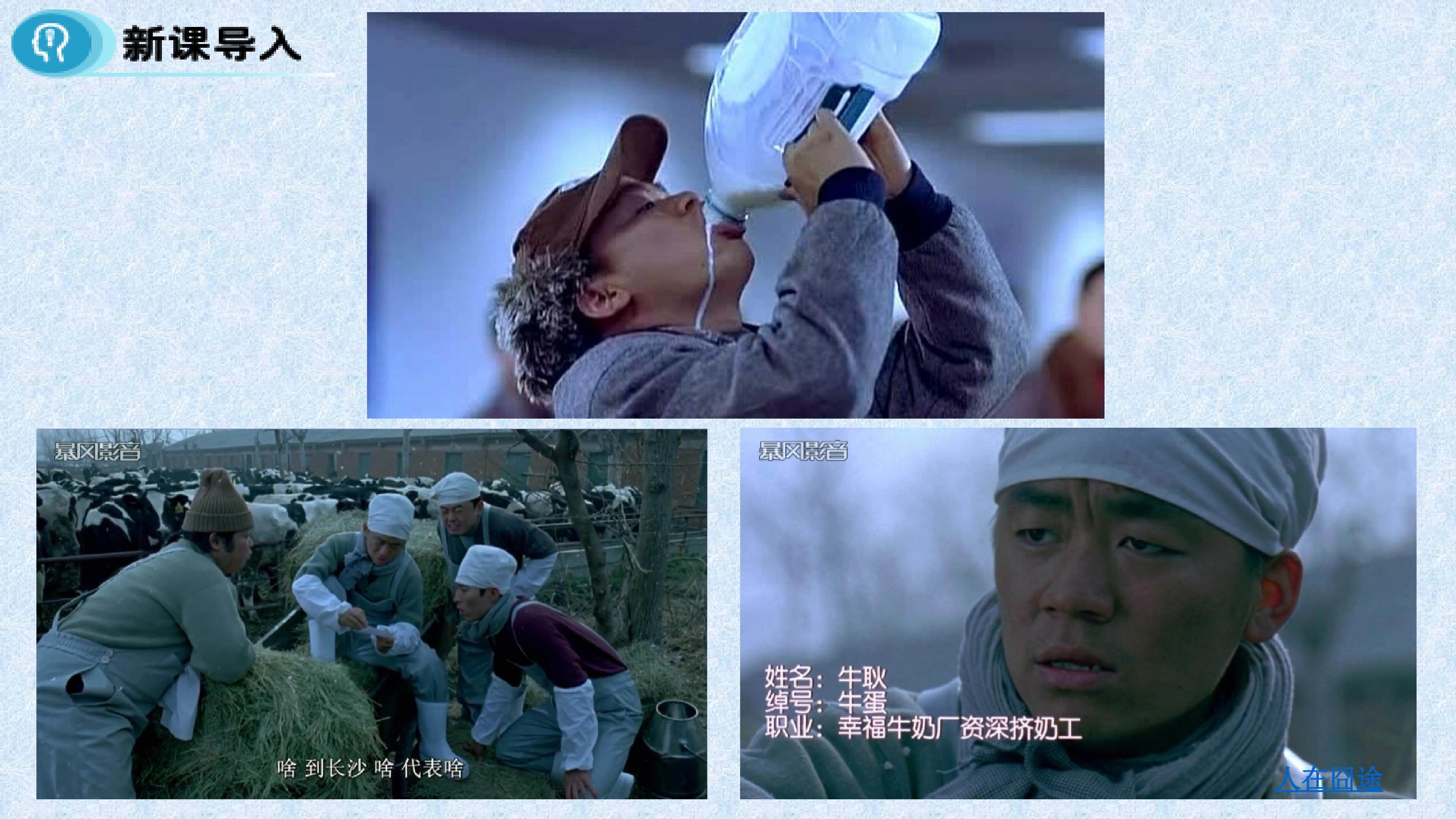 以畜牧业为主的农业地域类型----乳畜业
