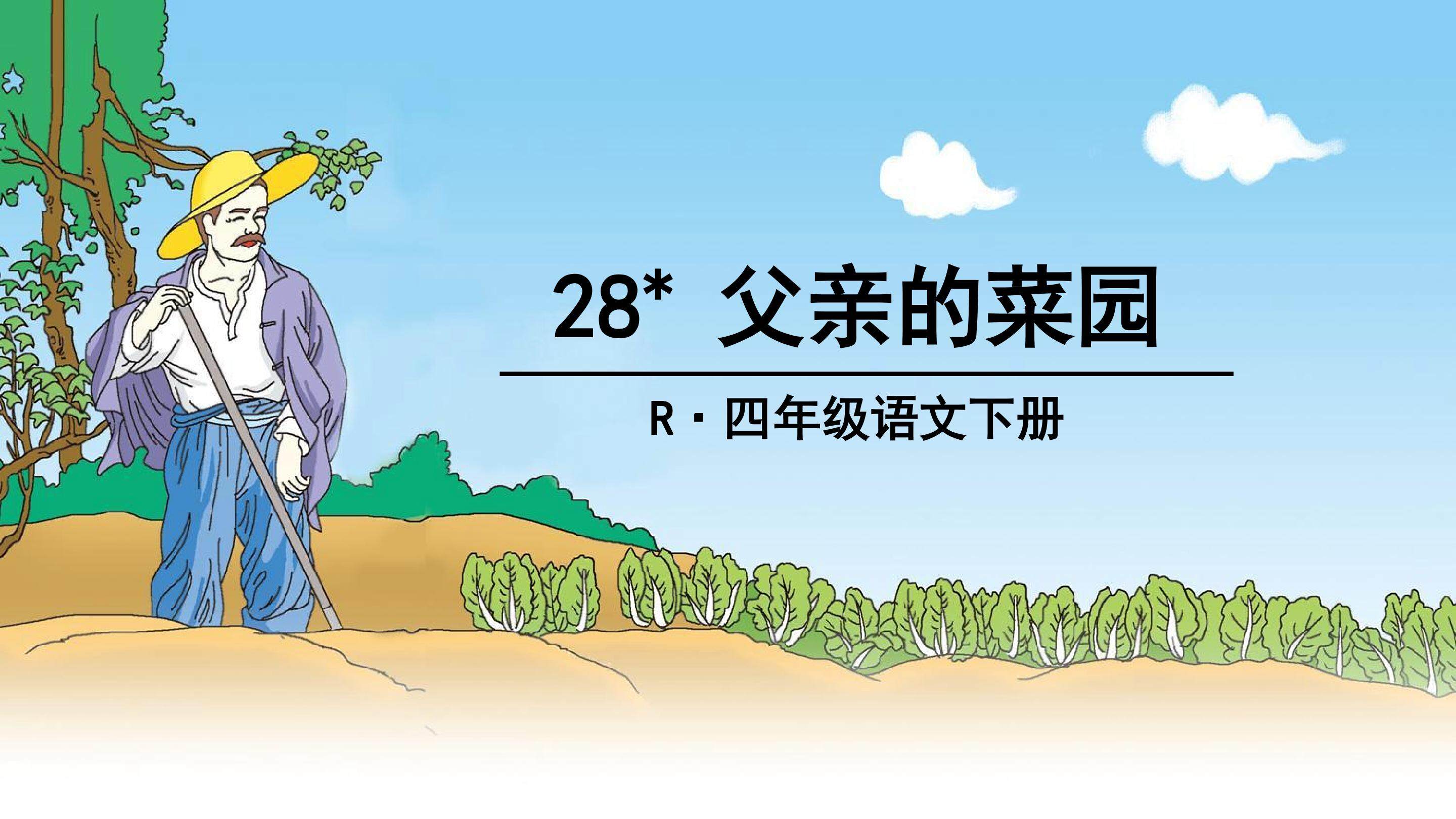 28父亲的菜园