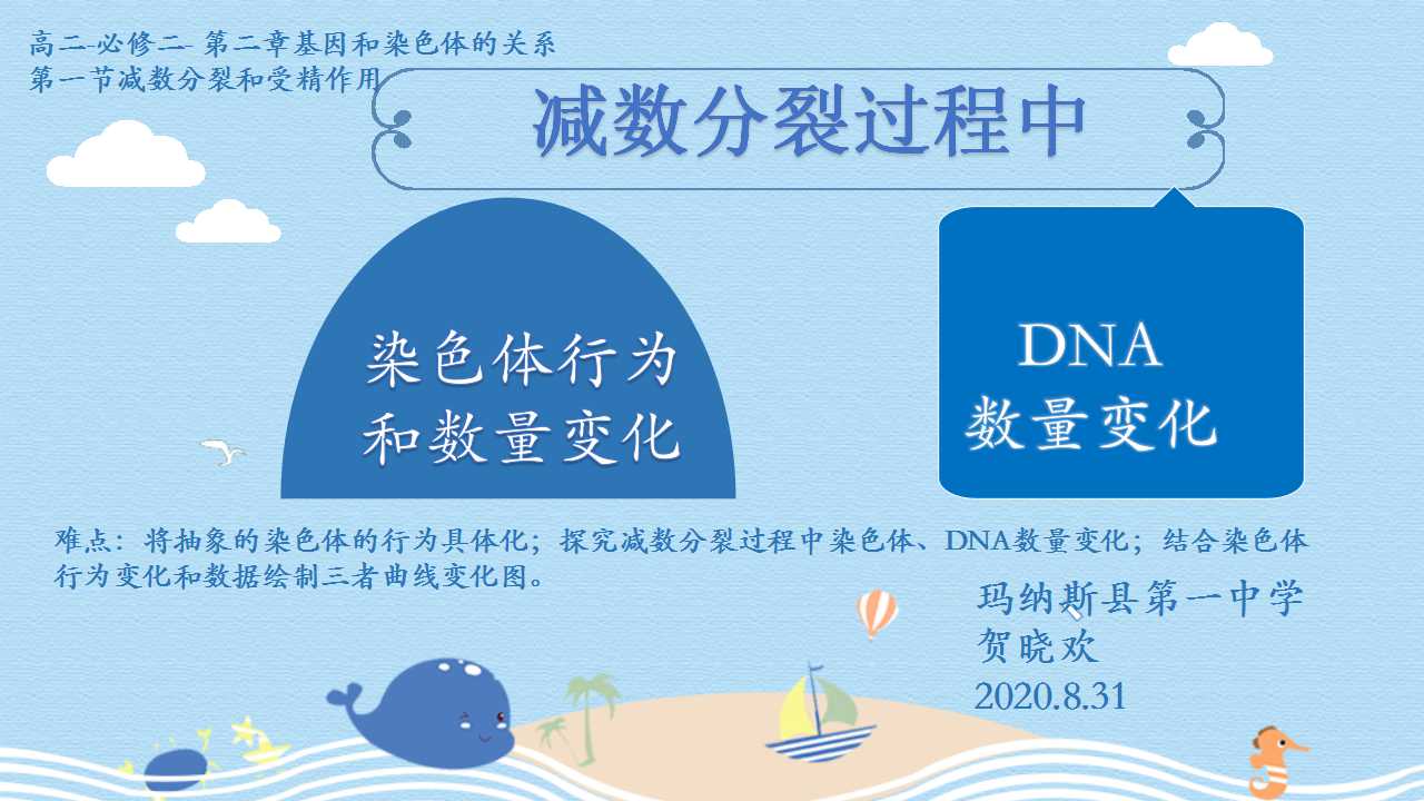 减数分裂的过程中染色体行为和数量变化、DNA数量变化