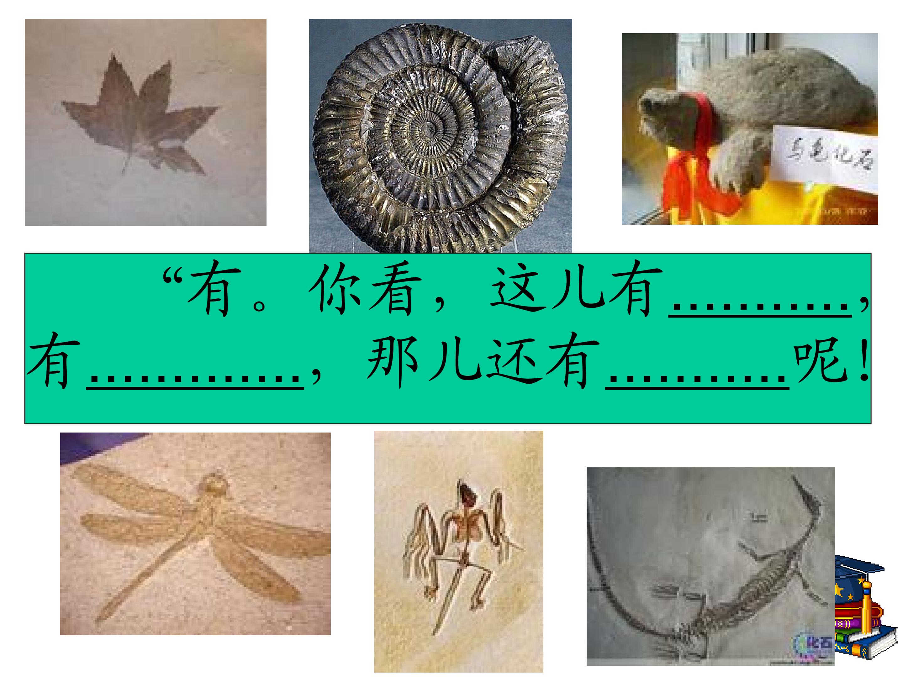33.jpg