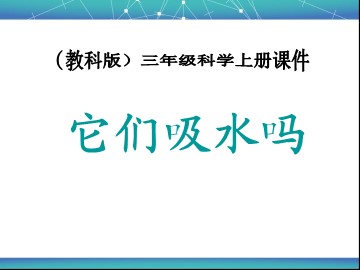 4.它们吸水吗