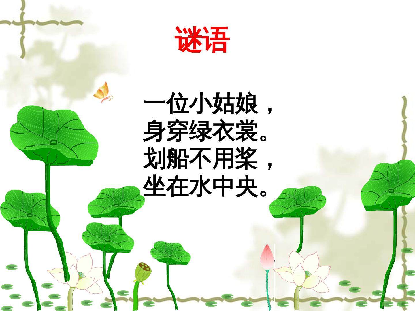 13.荷叶圆圆