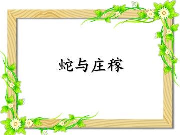 蛇与庄稼_课件1