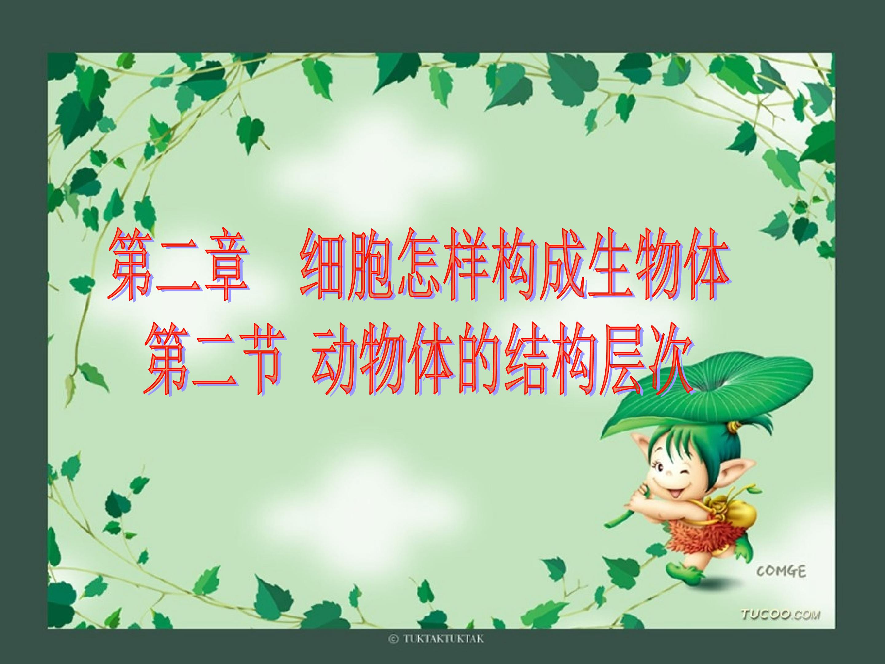 动物体的结构层次