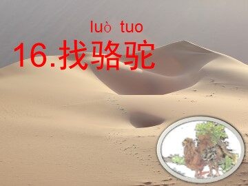 16* 找骆驼