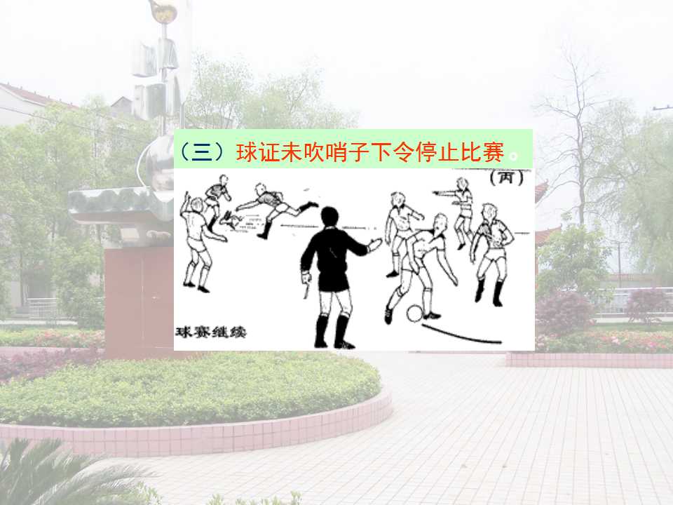 13.jpg
