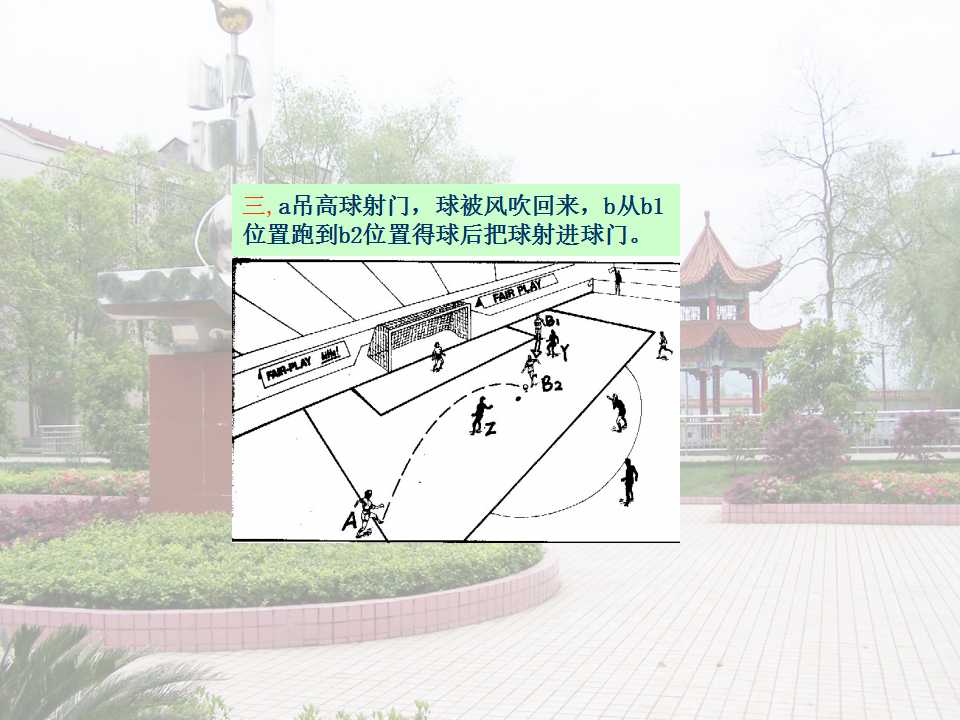 19.jpg