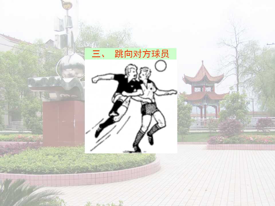 24.jpg